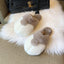 Snugglify - Cosy Fluffy Corgi Slippers