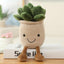 Snugglify - Cute Succulent Flower Pot Plushie
