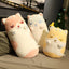 Snugglify - Kawaii Sleeping Kittens Plushies