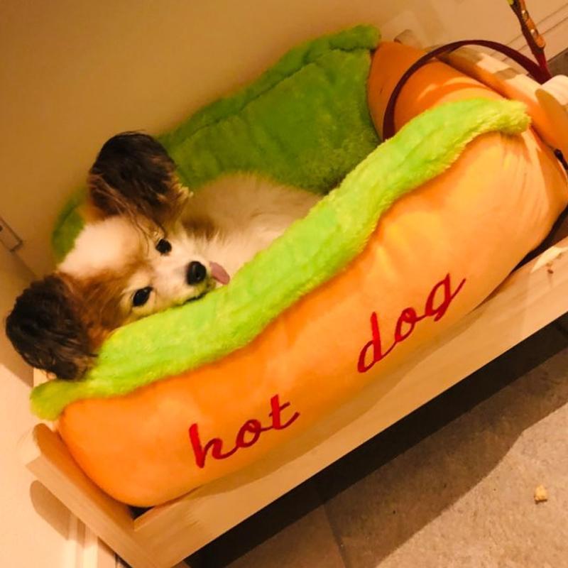 Snugglify - Soft & Funny Hot Dog Pet Bed